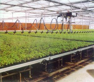 重華供應(yīng)各類大棚噴灌系統(tǒng) 微噴、移動(dòng)噴灌助力現(xiàn)代農(nóng)業(yè)