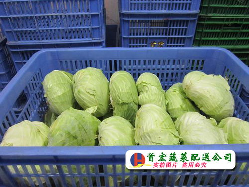 中堂農(nóng)副產(chǎn)品批發(fā)市場2017年3月17日交易動(dòng)態(tài)與市場觀察