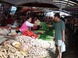 農副產品漲價潮下的市民心態 理性應對與長遠思考